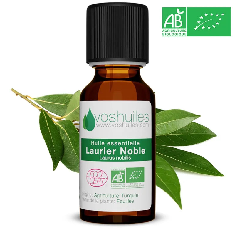 Huile Essentielle Laurier Noble | Confiance & Bouche Saine