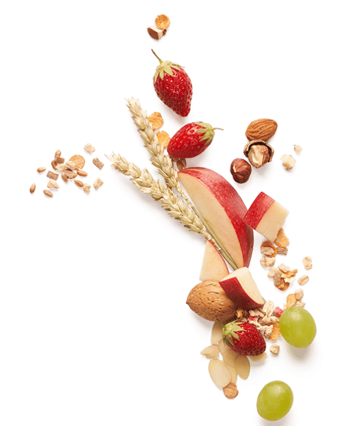 Muesli Croustillant Protéiné Bio | Soja & Fruits