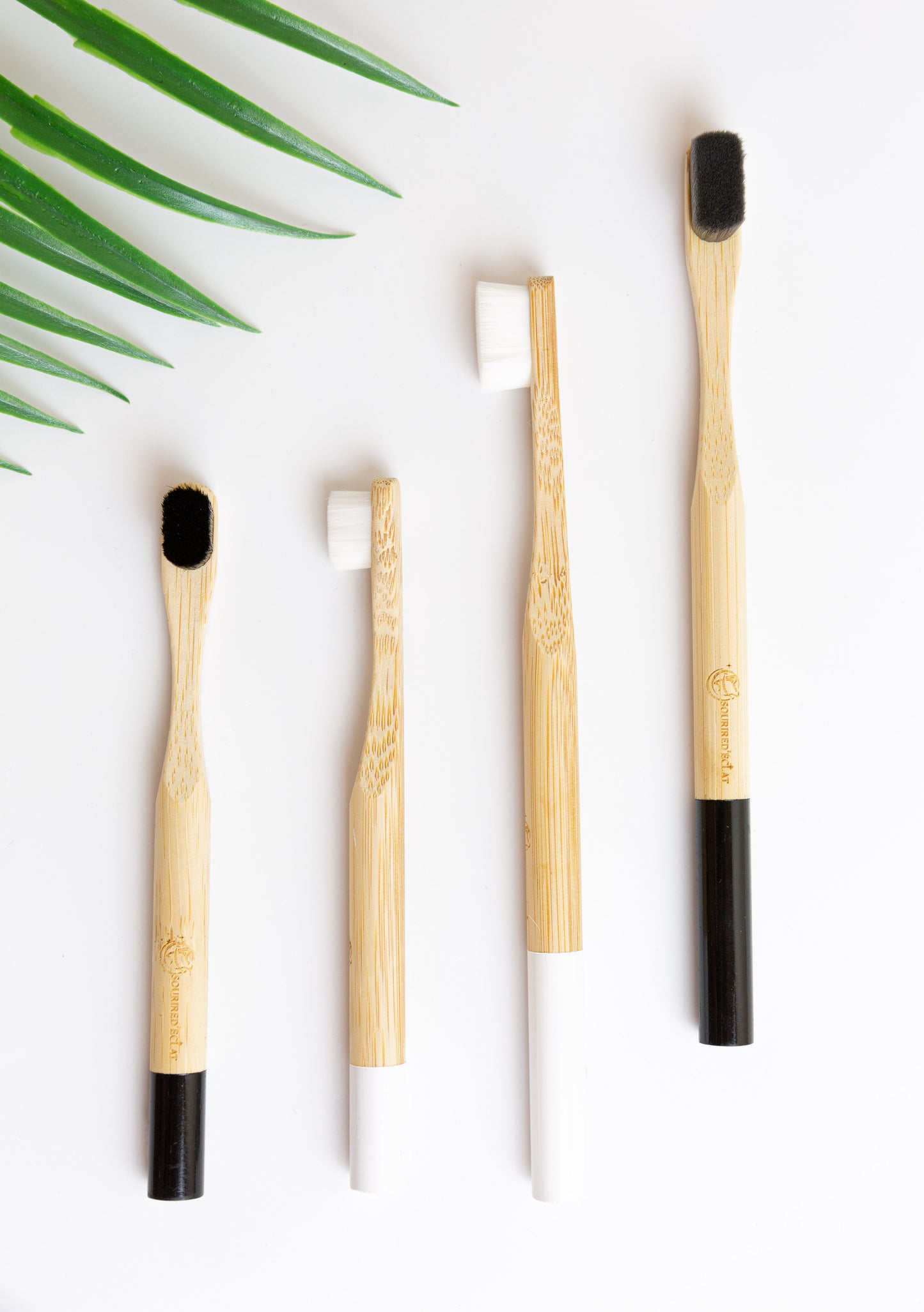 Brossettes Interdentaires Écologiques | Sourire d'Éclat