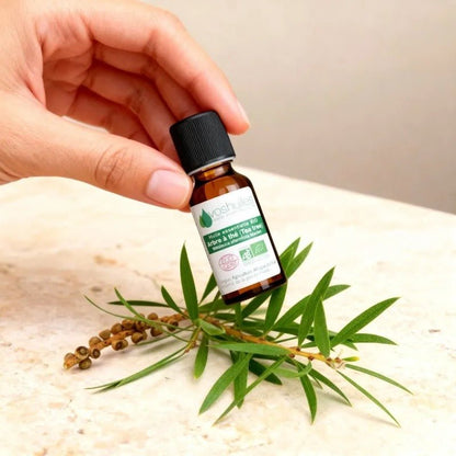 Huile Essentielle BIO d'Arbre à thé (Tea tree) - Biodoux