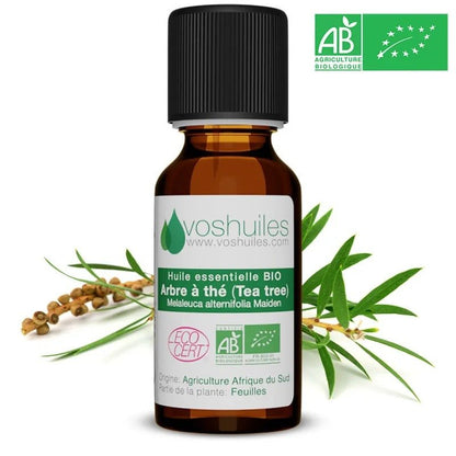 Huile Essentielle BIO d'Arbre à thé (Tea tree) - Biodoux
