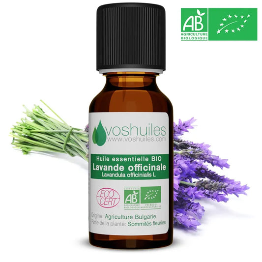 Huile Essentielle Lavande Officinale | La Reine de la Détente