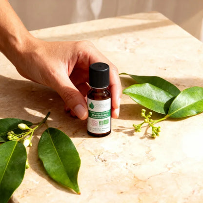 Huile Essentielle Ravintsara | Immunité Maximale
