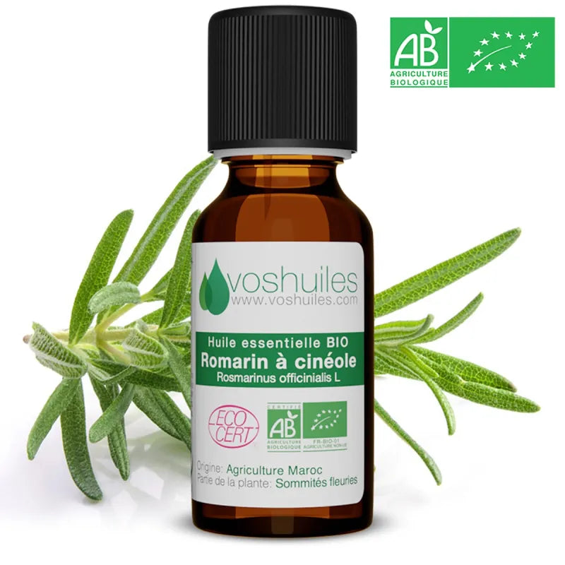Huile Essentielle Romarin à Cinéole | Respiratoire & Focus
