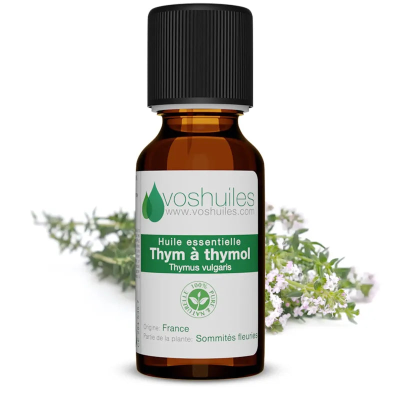Huile Essentielle Thym à Thymol | L'Antibiotique Naturel