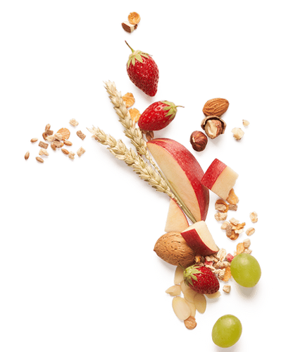 Muesli Croustillant Protéiné Bio | Soja & Fruits