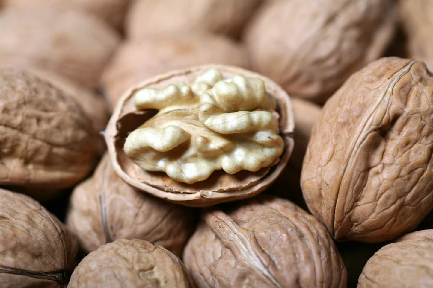 Cerneaux de Noix | Cerveau & Oméga-3