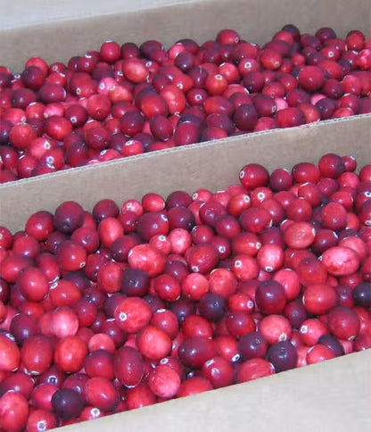 Cranberries Séchées | Confort Urinaire & Antioxydant