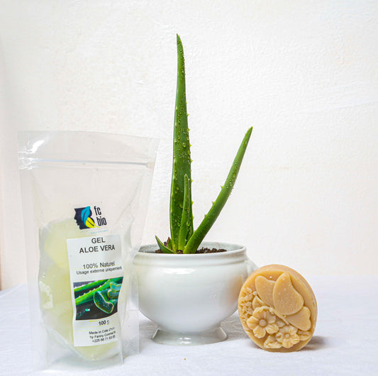 Savon Hydratant & Apaisant à l'Aloé Vera | FC Bio