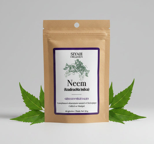 Silhouette — Infusions Mélange Pur de Plantes Séchées Bio