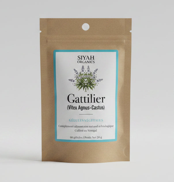 Café Touba — Infusions en Sachets Bio aux Épices