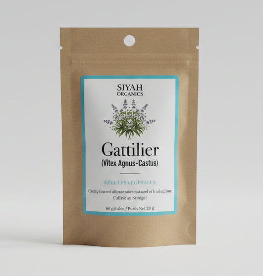 Café Touba — Infusions en Sachets Bio aux Épices