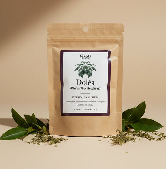Nep Nep (Acacia Nilotica) — Gélules Végétales Bio